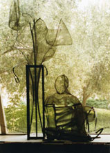 Dorothy Bohm
